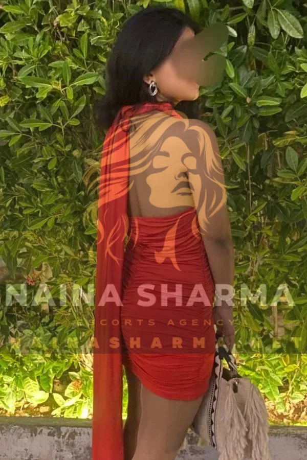 Meghna Noida Escorts